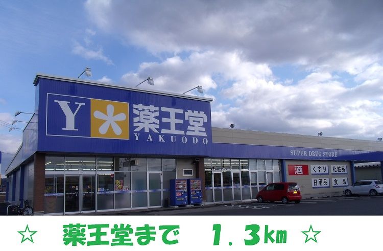 近くのドラッグストアまで1,300m（徒歩17分）