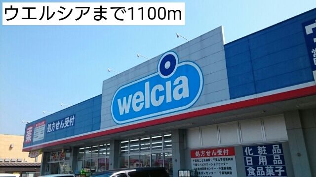 近くのウエルシアまで1,100m（徒歩14分）