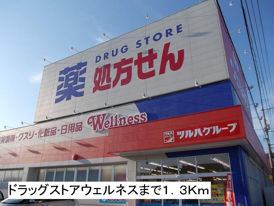 近くのドラッグストアウェルネスまで1,300m（徒歩17分）