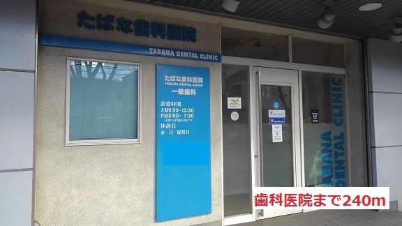 近くの歯科医院まで240m(徒歩3分)