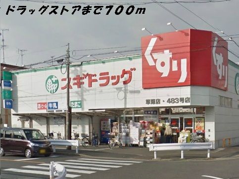 近くのスギ薬局まで700m（徒歩9分）