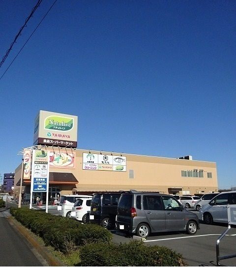 近くのTAIRAYAまで850m(徒歩11分)