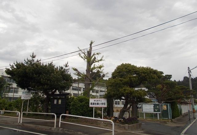 近くの東松島市立鳴瀬桜華小学校まで800m（徒歩10分）