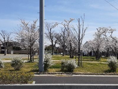 近くの浅平公園まで300m(徒歩4分)
