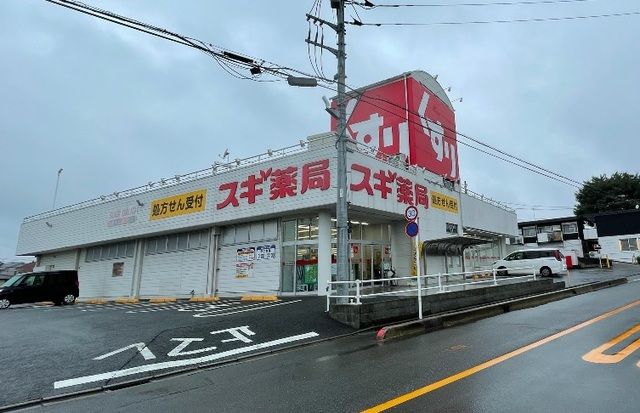 近くのスギ薬局　大宮堀崎町店まで400m（徒歩5分）