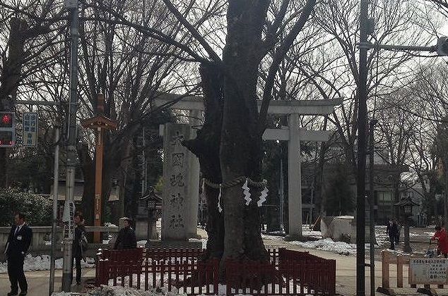 近くの大國魂神社まで1,000m（徒歩13分）