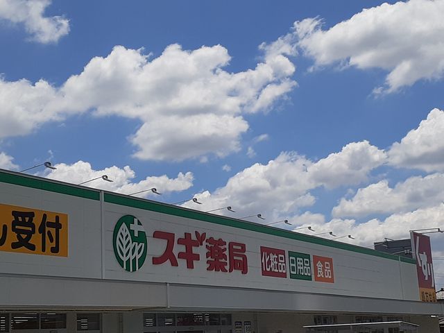 近くのスギ薬局まで750m（徒歩10分）