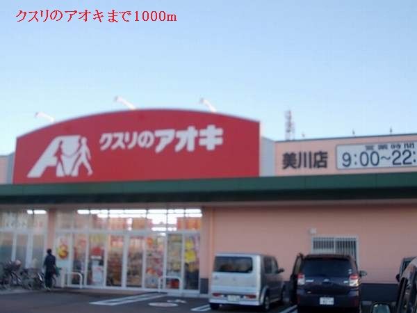 近くのクスリのアオキまで1,000m(徒歩13分)