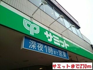 近くのサミットまで270m(徒歩4分)