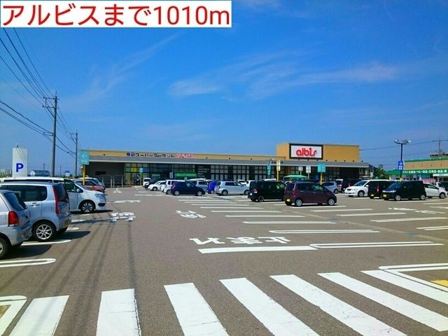 近くのアルビスまで1,010m(徒歩13分)
