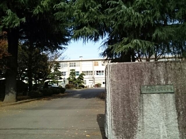 近くの栃木県立石橋高等学校まで700m(徒歩9分)