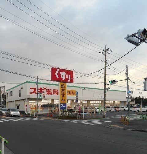近くのスギ薬局まで54m(徒歩1分)
