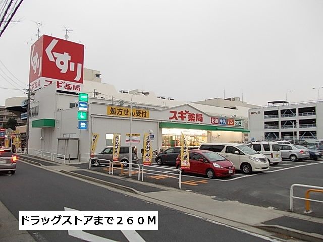 近くのスギ薬局まで260m（徒歩4分）