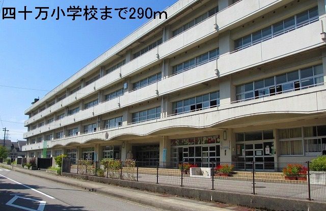 近くの小学校まで290m（徒歩4分）