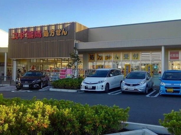 近くのスギドラッグフレスポ桶川店まで350m(徒歩5分)