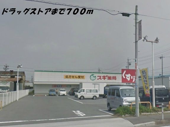 近くのスギ薬局まで700m(徒歩9分)