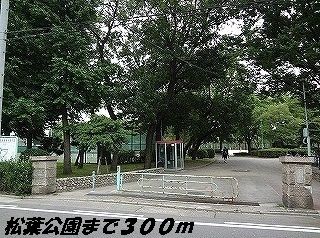 近くの松葉公園まで300m（徒歩4分）