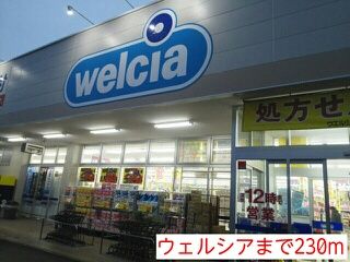 近くのウェルシアまで230m（徒歩3分）