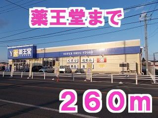 近くの薬王堂まで260m（徒歩4分）