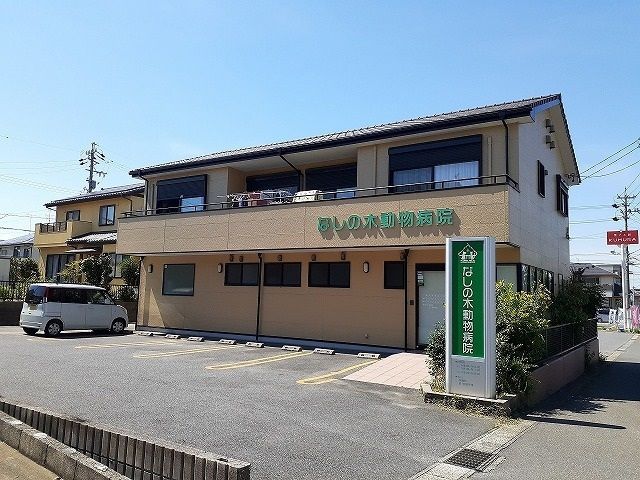 近くのなしの木動物病院まで450m(徒歩6分)