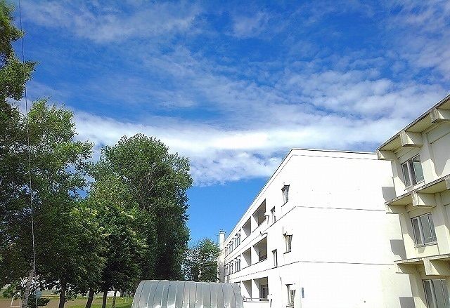 近くの江別市立野幌若葉小学校まで650m（徒歩9分）