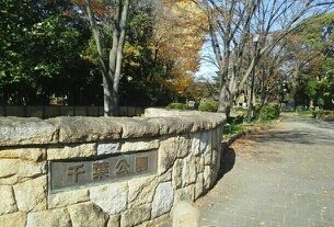 近くの千葉公園まで770m（徒歩10分）