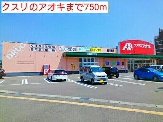 近くのクスリのアオキまで750m（徒歩10分）
