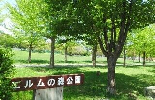 近くのエルムの森公園まで500m（徒歩7分）