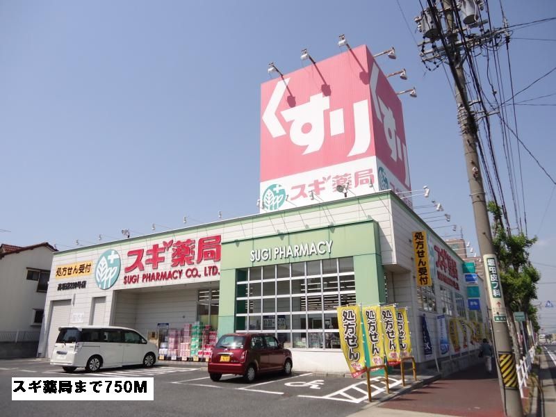近くのスギ薬局まで750m(徒歩10分)