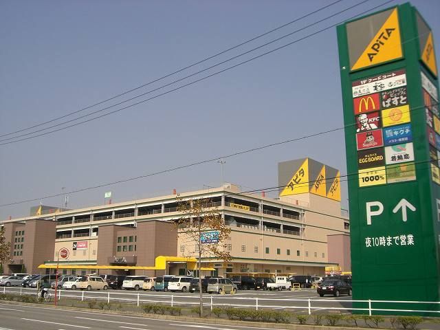 近くのアピタまで1,100m（徒歩14分）