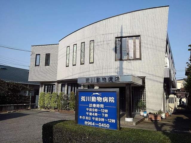 近くの荒川動物病院まで400m（徒歩5分）