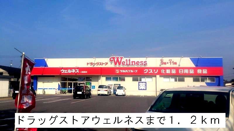 近くのドラッグストアウェルネスまで1,200m(徒歩15分)