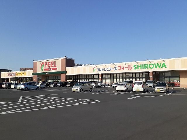 近くのフィール　SHIROWA店まで500m（徒歩7分）