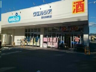 近くのウエルシア豊川大崎町店様まで260m（徒歩4分）