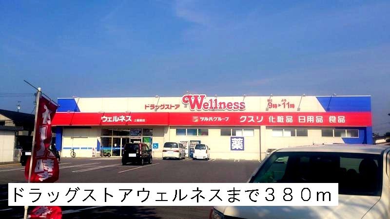 近くのドラッグストアウェルネスまで380m（徒歩5分）