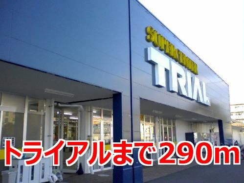 近くのトライアルまで290m(徒歩4分)