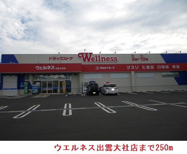 近くのウエルネス出雲大社店まで250m(徒歩4分)
