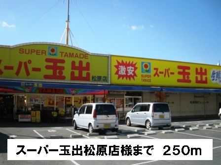 近くのスーパー玉出松原店様まで250m（徒歩4分）
