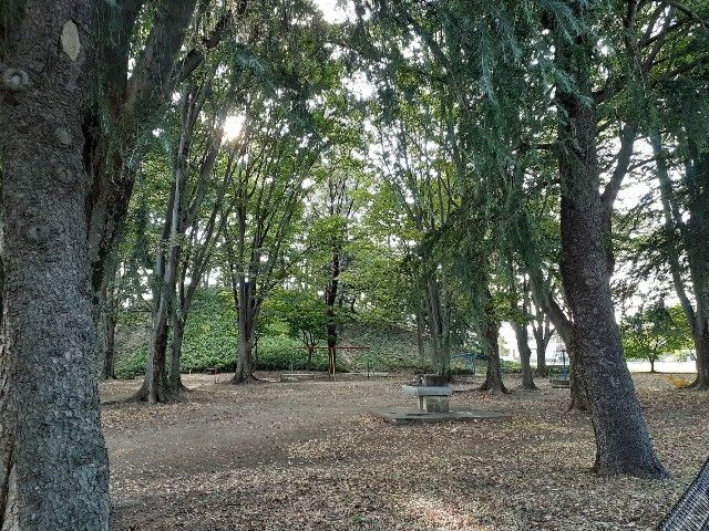 近くの八幡山公園まで1,200m(徒歩15分)
