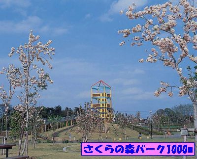 近くの公園まで1,000m（徒歩13分）