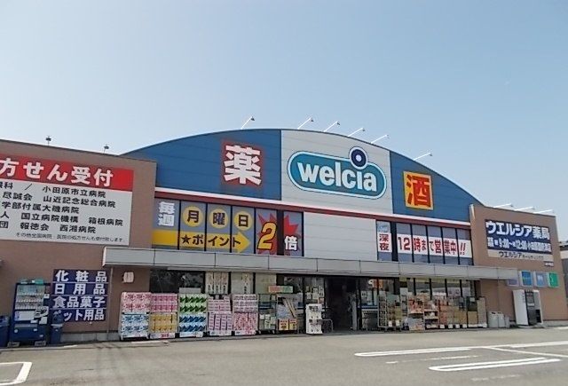 近くのウエルシア国府津店まで800m（徒歩10分）