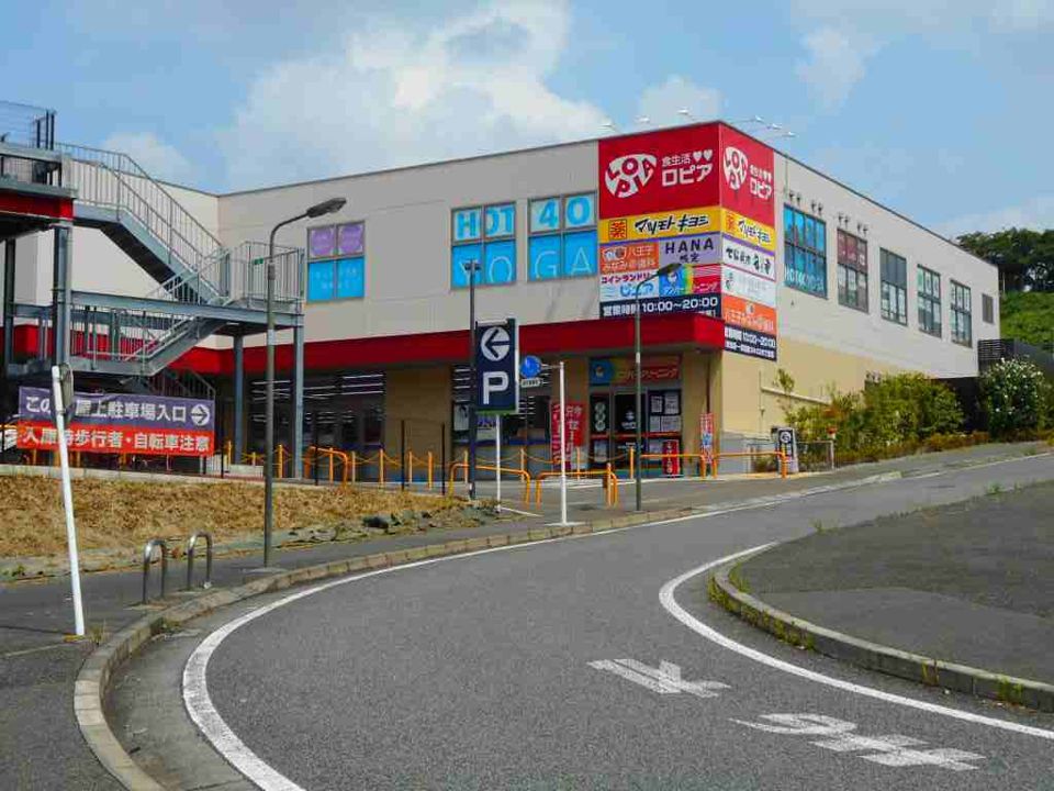 近くのロピアまで600m（徒歩8分）