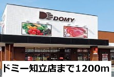 近くのドミー知立店まで1,200m(徒歩15分)