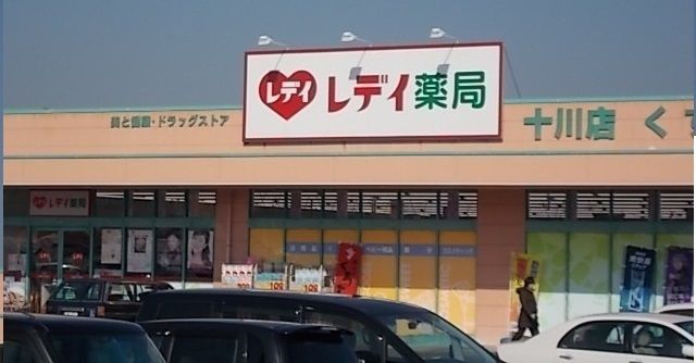 近くのレディ薬局十川店さんまで1,700m（徒歩22分）