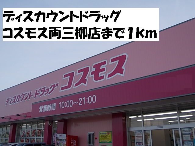 近くのドラッグストアまで1,000m（徒歩13分）