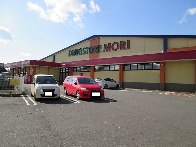 近くのドラッグストアモリ西都城駅前店まで700m（徒歩9分）