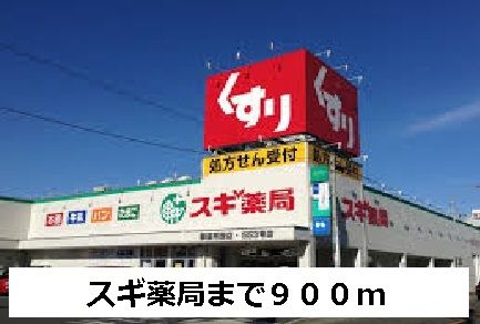 近くのスギ薬局まで900m(徒歩12分)