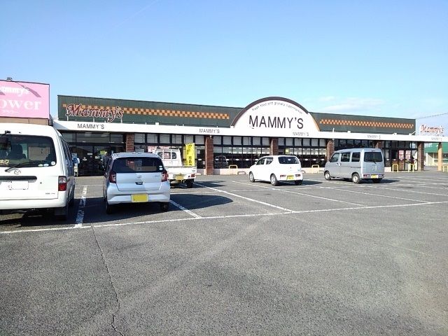 近くのマミーズ大刀洗店まで650m（徒歩9分）