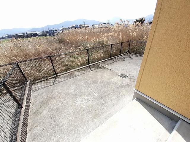 庭