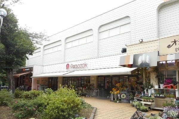 近くのピーコックまで290m(徒歩4分)